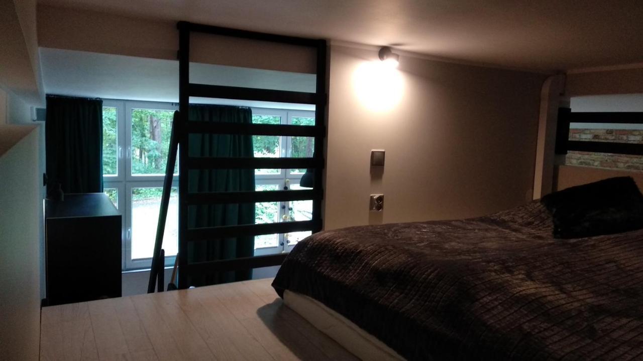 Apartament 5 Przy Parku Lesnym بولانيكا- زدروي المظهر الخارجي الصورة